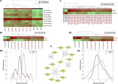 Hydroxyurea-Induced miRNA Expression in Sickle Cell Disease Patients in Africa